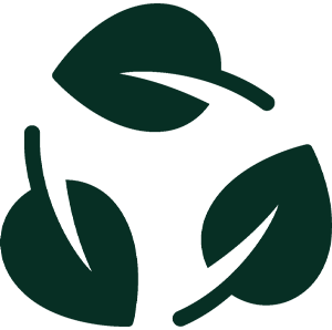 Carbon Transition Plan
