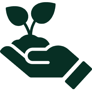Local Tree Planting Campaign